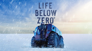 Life Below Zero thumbnail