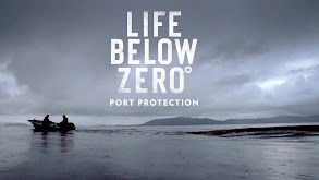Life Below Zero: Port Protection thumbnail
