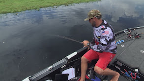 Bass Pro Tour: 2020 Stage Four Heavy Hitters Qualifying Group A Day 2 - Kissimmee thumbnail
