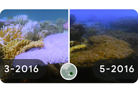time-lapse image showing the effects of climate change on the Great Barrier Reef
