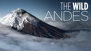 The Wild Andes thumbnail