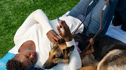 A person lying on grass, holding an Android phone in one hand and petting a guide dog with the other.