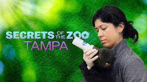 Secrets of the Zoo: Tampa thumbnail