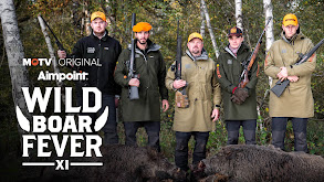 Wild Boar Fever XI thumbnail