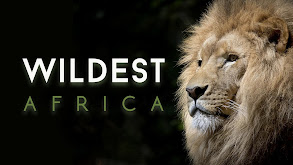 Wildest Africa thumbnail