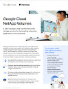First page of Google Cloud NetApp Volumes report 