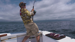Panama's Finest Fishing at Tropic Star Lodge thumbnail