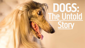 Dogs: The Untold Story thumbnail