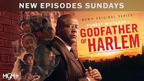 Godfather of Harlem thumbnail