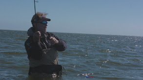 Speckled. Trout in Baffin Bay, TX thumbnail