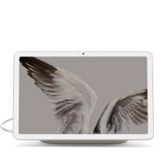 A Pixel Tablet displaying an image of close-up bird wings.