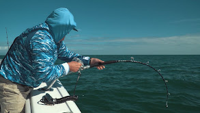 Florida Bay Fishing For COBIA, Goliath Grouper and More thumbnail