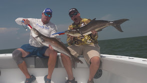 Offshore Fishing with the Mexican Gulf Fishing Company thumbnail