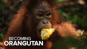 Becoming Orangutan thumbnail