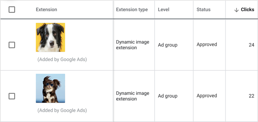 Screenshot of Google Ads UI for reviewing dynamic image extensions