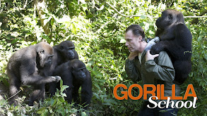 Gorilla School thumbnail