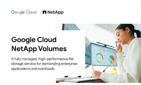展示 Google Cloud NetApp Volumes 的图片，图中有一位女士在计算机前