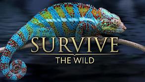 Survive the Wild thumbnail