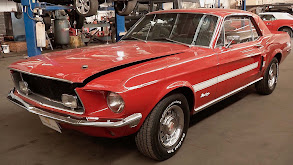 One Mad Mustang, Part 1 thumbnail