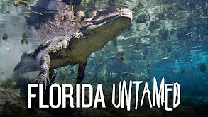 Florida Untamed thumbnail