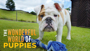 The Wonderful World of Puppies thumbnail