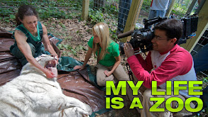 My Life Is a Zoo thumbnail