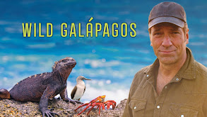 Wild Galapagos thumbnail