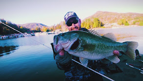 Countdown to the Largest Largemouth thumbnail