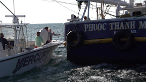 Louisiana Shrimp Boats with the Newmans thumbnail
