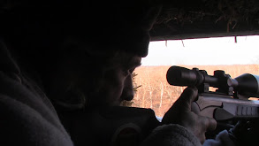 The Tale of the Biggest Typical Whitetail Buck of My Hunting Career -- 2010 thumbnail