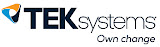 TEK systems logo
