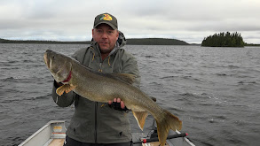 Monster Northern Pike at Bills Lake thumbnail