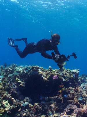 Cómo un biólogo marino utiliza Google Maps para explorar bajo el mar