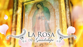 La rosa de Guadalupe thumbnail