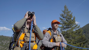 Montana Black Bear Hunting With Clay Newcomb thumbnail