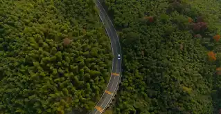 Skats no putna lidojuma uz Jaguar automašīnu, kas brauc pa ceļu cauri mežam.