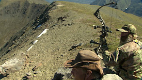 Tom Miranda's Archery Super Slam: Mountain Caribou thumbnail