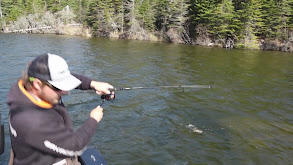 Casting For Isle Royale's Coaster Brook Trout thumbnail