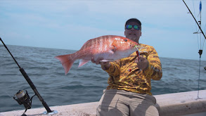 South Texas Red Snapper thumbnail