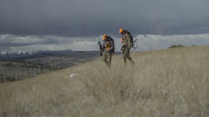 Brothers From Another Mother: Montana Pronghorn thumbnail