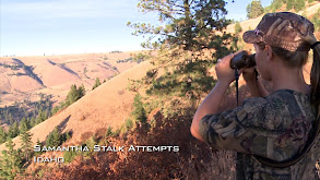 Bow Hunting Boulder Creek thumbnail