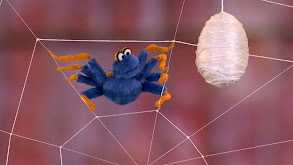 The Itsy Bitsy Spider Search thumbnail