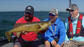 Giant Walleyes of the Great Lakes thumbnail