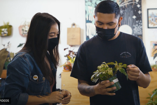 A man wearing a black face mask shows a plant to a customer