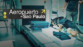 Aeropuerto de São Paulo thumbnail