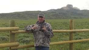 Bowhunting Bighorn Sheep in the Missouri Breaks thumbnail