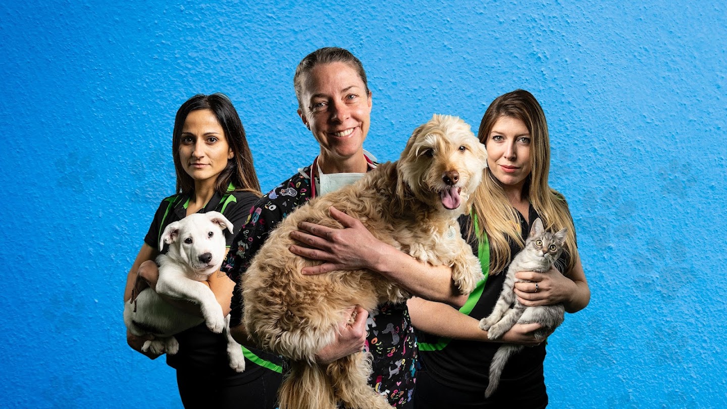 Watch The Pet Rescuers live