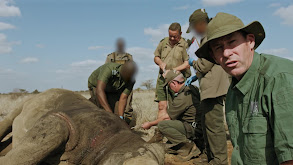 One Rhino at a Time thumbnail