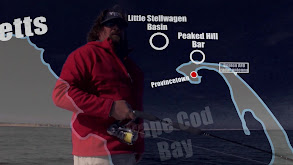 Cape Cod Bluefin Tuna thumbnail
