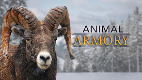 Animal Armory thumbnail